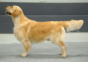 Kuva � Susanna Kujasalo