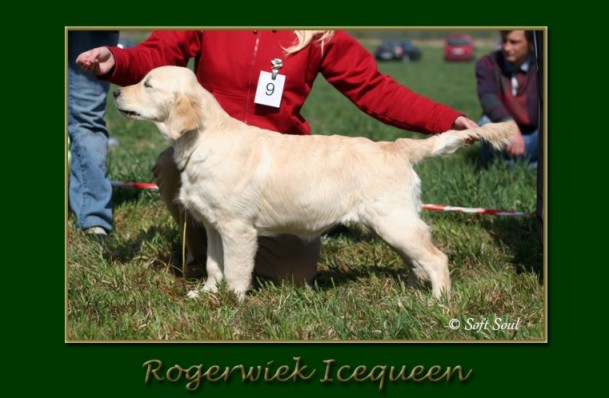 Rogerwiek Icequeen