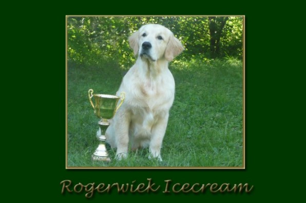 Rogerwiek Icecream