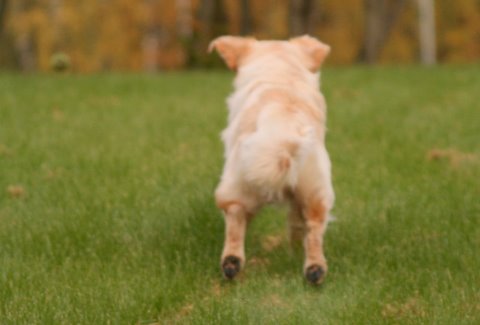 Kuva/picture Taija Linna