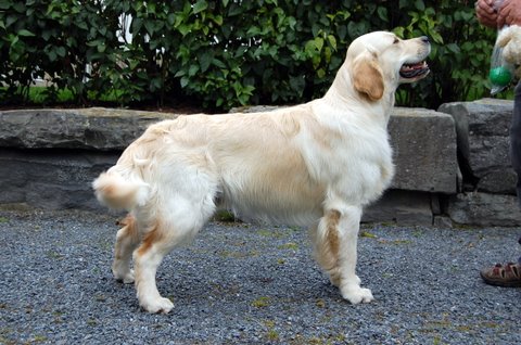 Kuva/picture Marika Korajoki