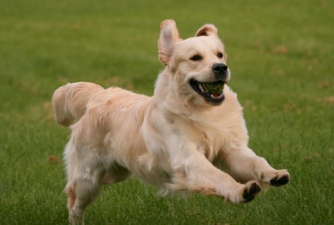 Kuva/picture Taija Linna