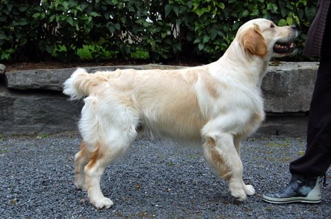 Kuva/picture Marika Korajoki