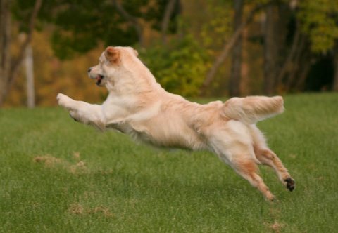 Kuva/picture Taija Linna