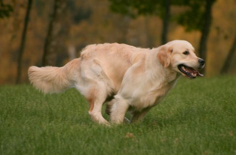 Kuva/picture Taija Linna