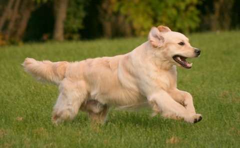 Kuva/picture Taija Linna