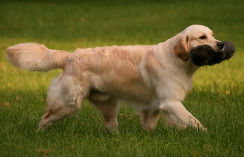 Kuva/picture Taija Linna