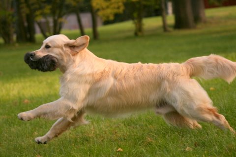 Kuva/picture Taija Linna