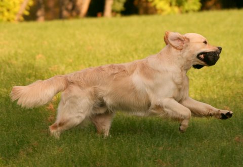 Kuva/picture Taija Linna