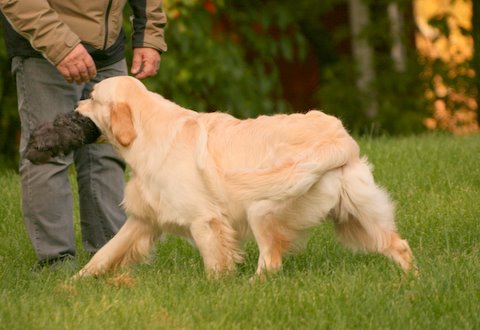 Kuva/picture Taija Linna