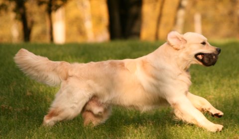 Kuva/picture Taija Linna