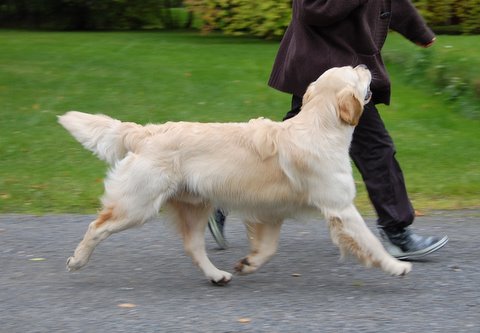 Kuva/picture Marika Korajoki