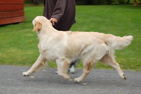 Kuva/picture Marika Korajoki