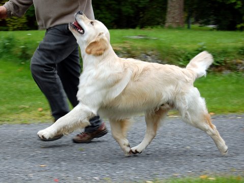 Kuva/picture Marika Korajoki