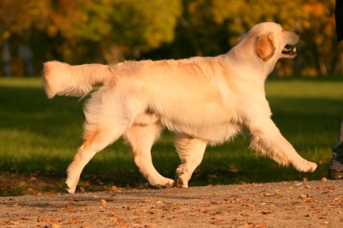 Kuva/picture Taija Linna