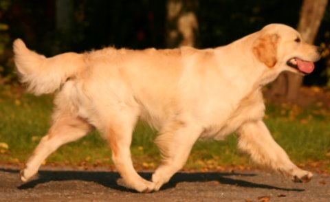 Kuva/picture Taija Linna